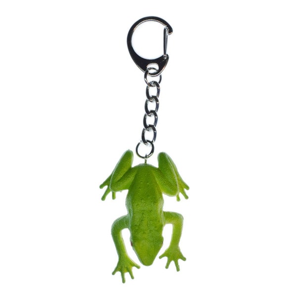 Grenouille Porte-cle Porte-cles de la colliergrenouille verte crapaud