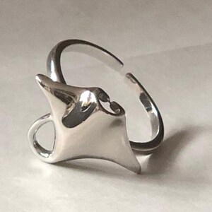 Pinza Per Serpenti Pieghevole In Acciaio Inox - 1,2 Metri Per Cattura Sicura