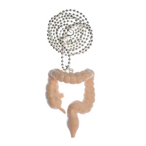 Colon Necklace Miniblings 80Cm Medicine Anatomy Human Intestines Zombie 3D