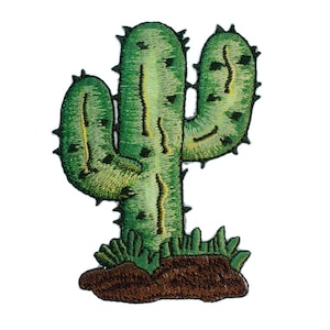 Peut inclure: Patch brodé de cactus vert avec de la terre brune et de l'herbe verte.