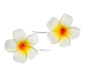 Frangipani 2er Set Blumen Haarspangen Plumeria Miniblings Lilie Surfer Hawaii