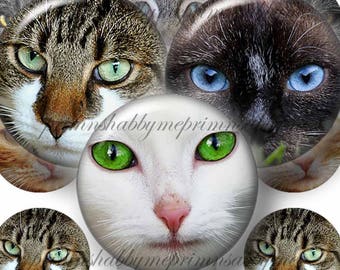 Cat Faces, 1 Inch Circles, Bottle Cap Images, Digital Collage Sheet, Cats Eyes, Cats, Kittens, Instant, Digital Download, Jewelry, Crafts