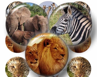 Jungle Animals, Bottle Cap Images, 1 Inch Circle, Digital Collage Sheet, Lions, Elephants, Tigers, Monkey, Zebra, Wild Animals, Printable