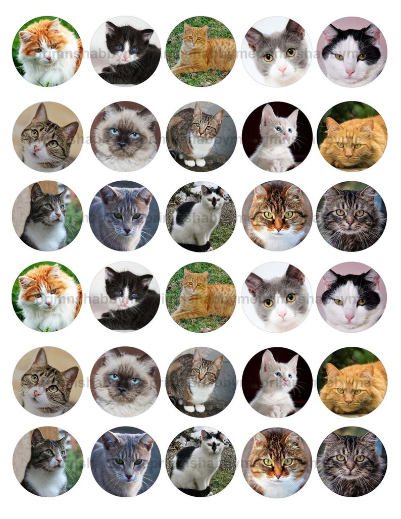 Images for Pendants Jewelry Crafts Instant Digital Download Magnets 1.5 Inch Circles Kittens Cabochons Digital Collage Sheet Cats
