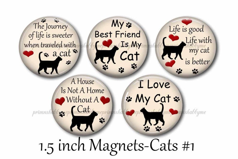 Cats Refrigerator Set of 5 Cute Funny Sayings Etsy