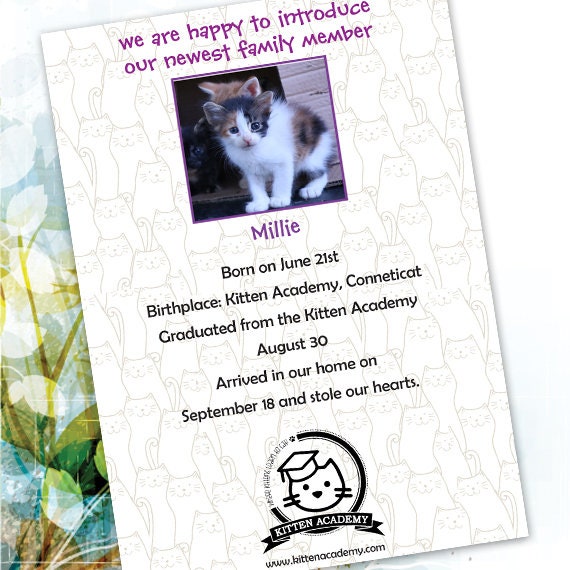 kitten announcement, new kitten announcement, kitty can welcome party, welcome party, kitten party, four legged friends, new baby, BLP1604