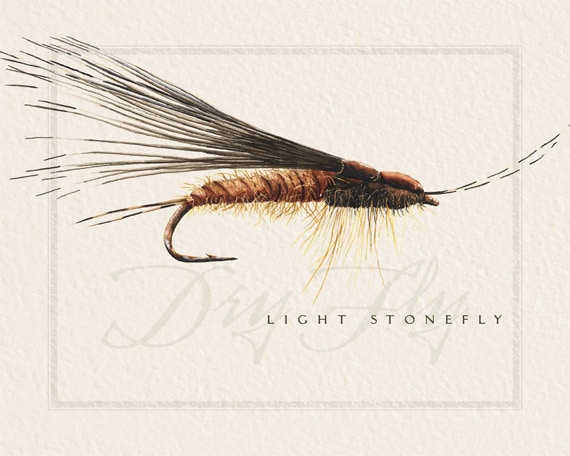 fly fishing prints, 8x10 prints, nymph flies, dry flies, fisherman prints, fisherman birthday, fly fisherman retirement, fly fishing art