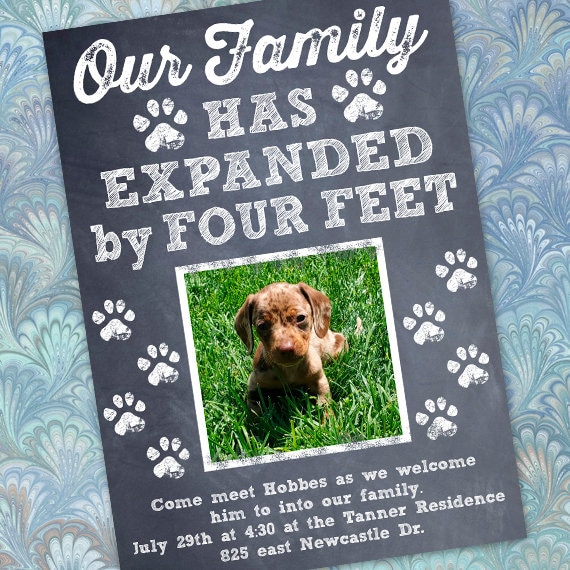 puppy announcement, new puppy announcement, puppy party, four legged friends, new baby, BLP1601