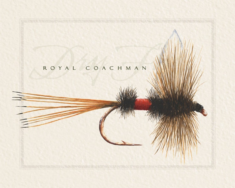 Fly Fishing Prints 8x10 Nymph Flies Dry Flies Fisherman Etsy