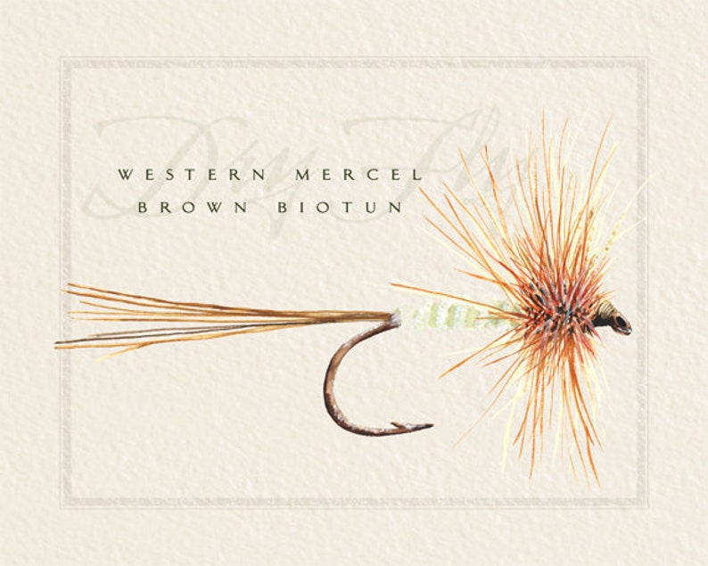 Fly Fishing Prints 8x10 Nymph Flies Dry Flies Fisherman Etsy