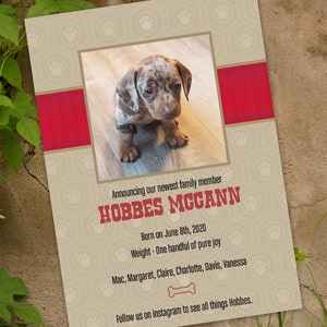 puppy announcement, new puppy announcement, puppy party, four legged friends, new baby, BLP1602