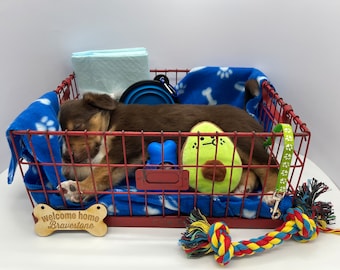 Sniff and Smile Starter Set | New puppy bundle | New Puppy Starter Kit | Puppy Gift