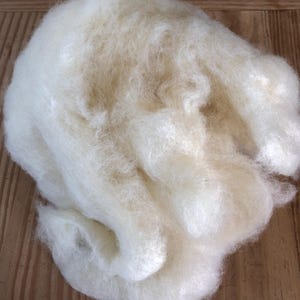 May include: A large pile of soft, off-white wool fibers. The fibers are loosely arranged, creating a fluffy, cloud-like appearance. The wool is likely used for crafting, such as spinning, felting, or knitting. The background is a wooden surface.
