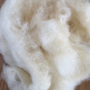Wool, Natural Fiber,  Sheep&#39;s Wool for Stuffing, Batting, One Pound or Half Pound