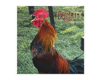 May include: A vibrant image of a rooster with red comb and wattle, and brown, black, and blue plumage. The rooster is in front of green grass, with the text "YBOR CITY Florida" in the upper right corner.