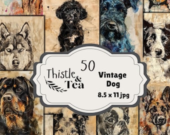 Vintage Dogs: 50 jpgs, 300 dpi, 2550x3300, commercial use, digital download