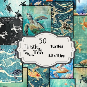 Può includere: Un collage di 50 carte digitali a tema tartaruga, con varie illustrazioni di tartarughe su sfondi acquatici blu, verdi e arancioni. L'immagine include il testo "Thistle & Tea" e "8.5 x 11 jpg".
