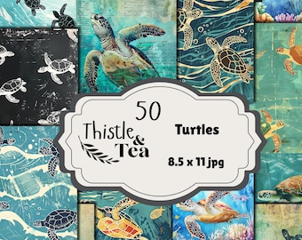 Tartarughe oceaniche: 50 jpg, 300 dpi, 2550x3300, uso commerciale, download digitale