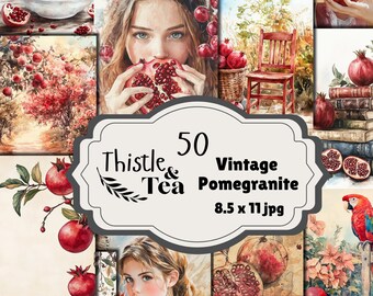 Vintage Pomegranate: 50 jpgs, 300 dpi, 2550x3300, commercial use, digital download