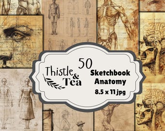 Sketchbook Anatomy: 50 jpgs, 300 dpi, 2550x3300, commercial use, digital download