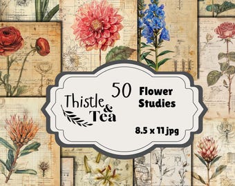 Flower Studies: 50 jpgs, 300 dpi, 2550x3300, commercial use, digital download