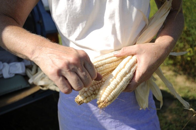5LB GRITS Hickory King Corn Heirloom Etsy