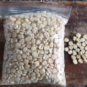 Hickory King Corn - Heirloom White Corn, Large Kernel (2 Lbs.)