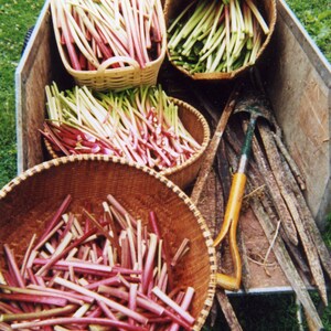 Rhubarb Blackberry Jam Low Sugar image 2