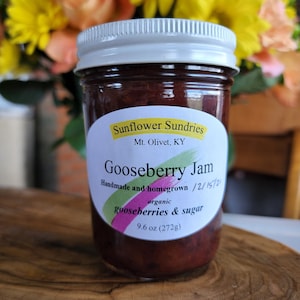 Gooseberry Jam | Homemade Jam, Small Batch Jam, Farm Fresh Jam, Natural Jam, Low Sugar Jam, Housewarming Gift, Unique Gift, Vegan GF
