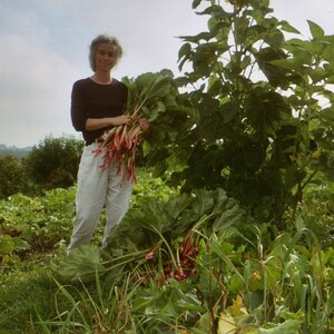 Rhubarb Blackberry Jam Low Sugar image 5