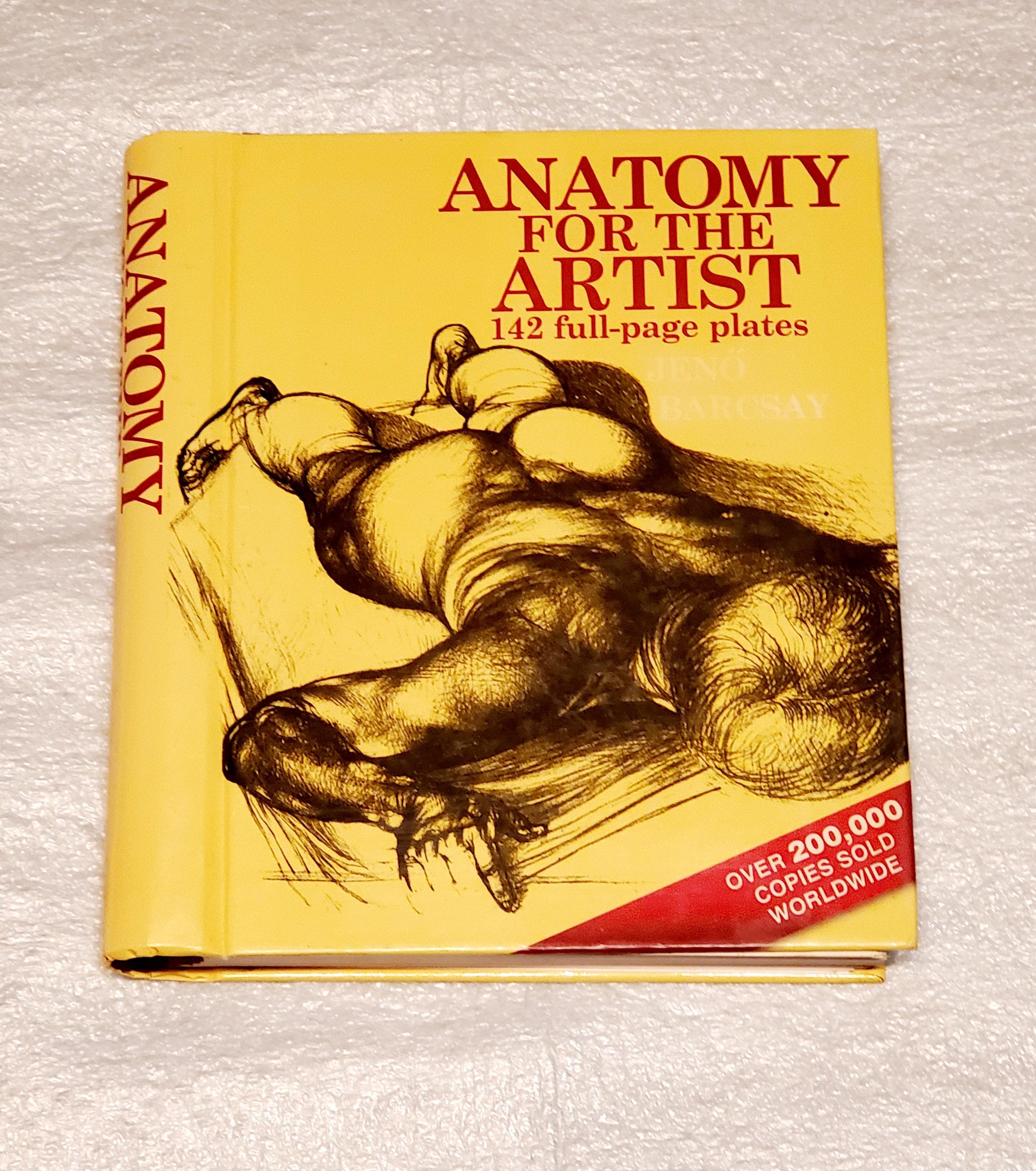 Anatomy for the Artist by Jeno Barcsay, Ring Bound, Art Manual 142