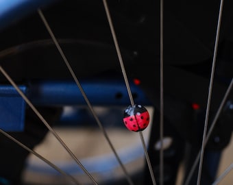 Clips de mariquita x6 / Accesorios para sillas de ruedas / Decoraciones pintadas a mano / Adorno para silla de ruedas manual / Bicicleta