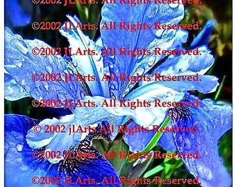 SET of 2 DIGITAL DOWNLOAD files blue green blue red orange Nature Iris Autumn Iris not a physical print