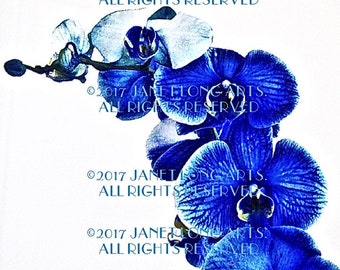 SET DIGITAL DOWNLOAD Set of 5 Blue Color infused Phalaenopsis orchids, wall art, nature photography, altered flowers,  tropical flowers