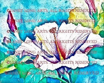 DIGITAL DOWNLOAD Flower Watercolor Print 'Hibiscus' blue pink green yellow purple lavender scarlet lake red mauve