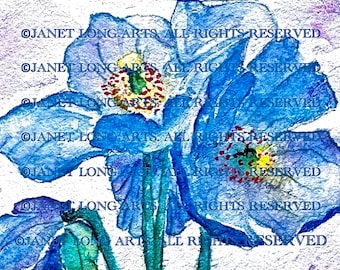 DIGITAL DOWNLOAD Flower Painting Watercolor Print Himalayan Blue Poppies blue white mauve yellow red