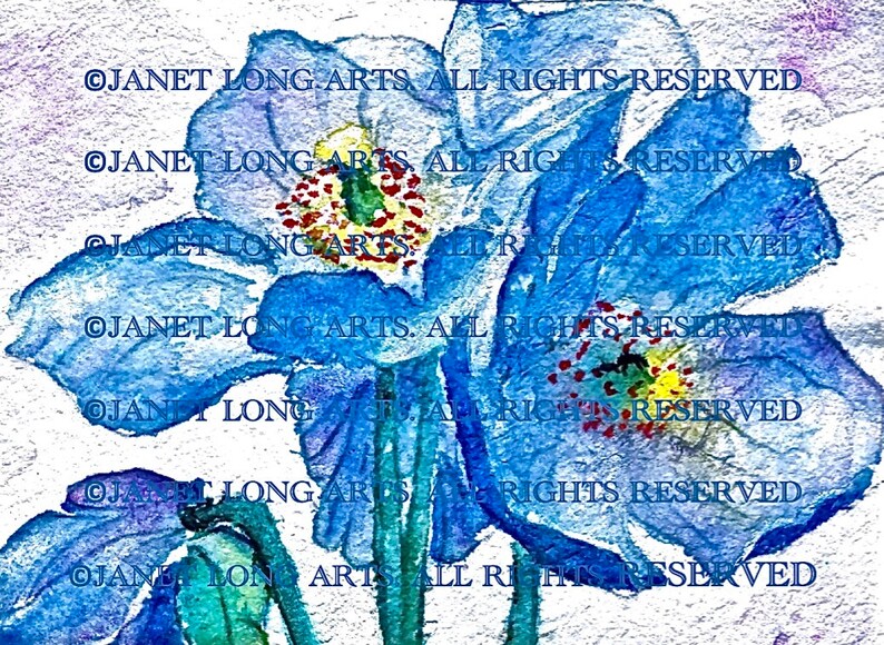 DIGITAL DOWNLOAD Flower Painting Watercolor Print Himalayan Blue Poppies blue white mauve yellow red image 1