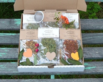the goodies box Premium Herbal Tea Lovers Gift Basket Box Monthly Subscription RAW Small Farm Organically Grown Hand Harvested Botanical Tea