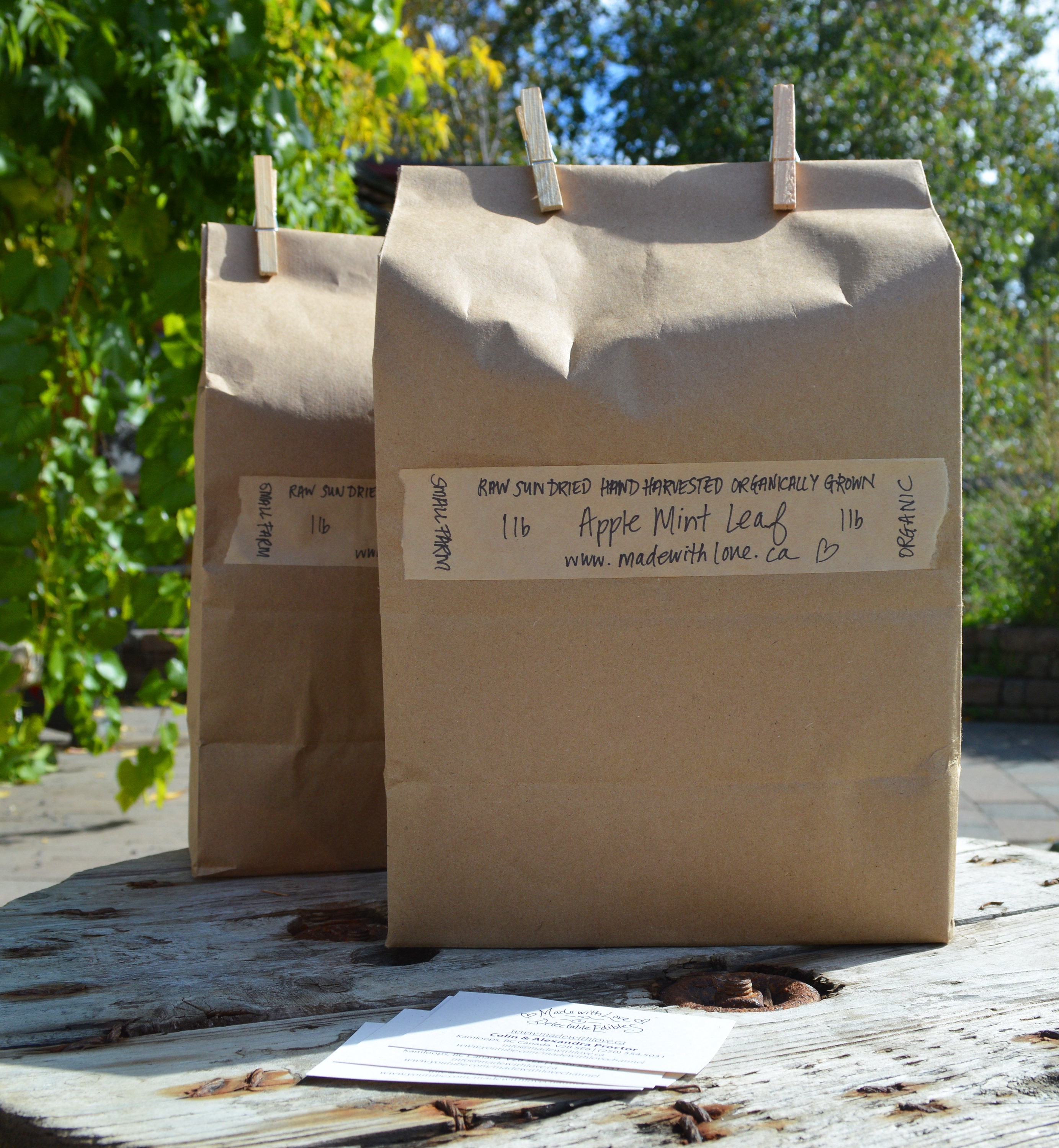RAW Sun Dried Tamarack / Larch Sprigs Food Forest Botanicals ...