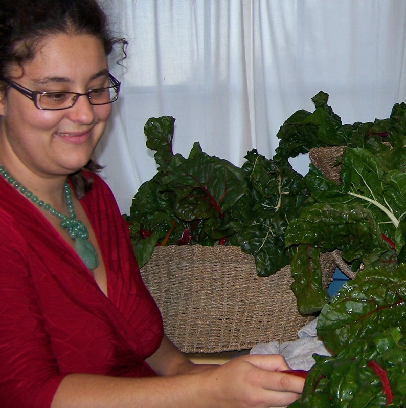 RAW Dried Apple Mint Small Farm Food Forest Botanicals Etsy