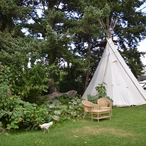 Puede incluir: Un tipi de lona blanca se alza en un jard&iacute;n cubierto de hierba, rodeado de exuberante follaje verde y &aacute;rboles altos. Dos sillas de mimbre y una peque&ntilde;a mesa est&aacute;n cerca. Una gallina blanca camina sobre la hierba.