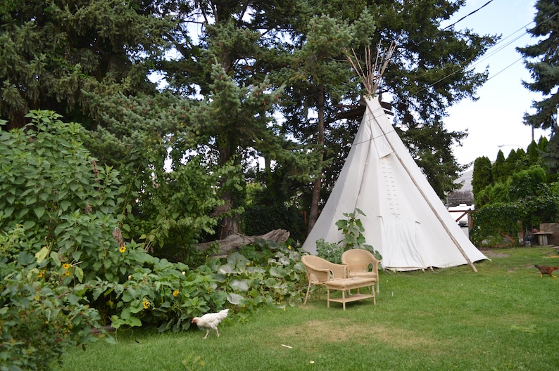 Puede incluir: Un tipi de lona blanca se alza en un jard&iacute;n cubierto de hierba, rodeado de exuberante follaje verde y &aacute;rboles altos. Dos sillas de mimbre y una peque&ntilde;a mesa est&aacute;n cerca. Una gallina blanca camina sobre la hierba.