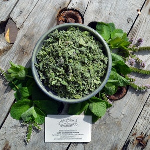 2022 Harvest RAW Dried Apple Mint Small Farm Food Forest Botanicals Organically Grown Culinary Herbs Herbal Mint Tea 1 lb / 454 grams BULK image 1