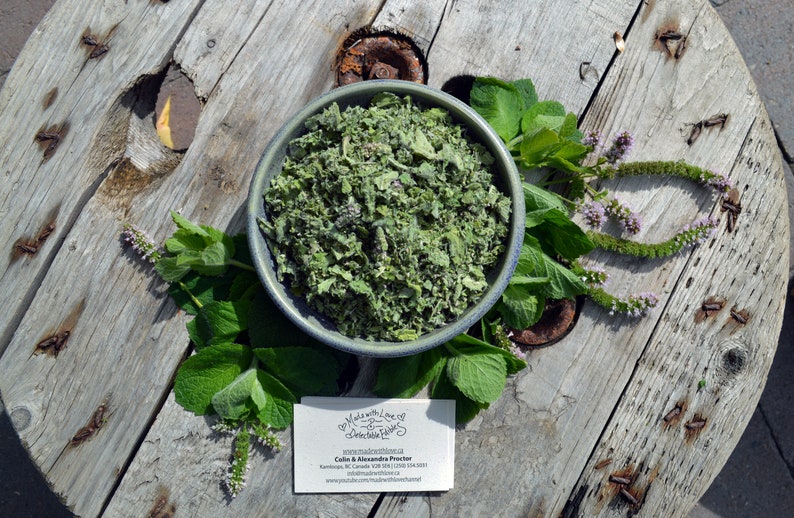 2022 Harvest RAW Dried Apple Mint Small Farm Food Forest Botanicals Organically Grown Culinary Herbs Herbal Mint Tea 1 lb / 454 grams BULK image 1