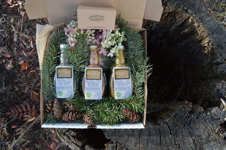 Pick 6 Medi-size Artisan Spice Blends Farmer's Market Signature Eco Gift Box Set Herbs & Spices Food Market DIY grill rub / dip mix image 8