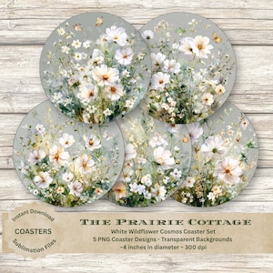 Soft Botanical Coaster Set White Wildflower Cosmos Design French Cottage Floral Coasters Vintage Style Printable PNG