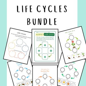 May include: A white ceramic mug with a black handle and the text "But First, Coffee" in a bold, black font. The mug is set against a blurred background, suggesting a cozy setting.