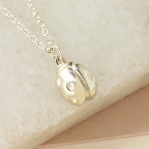Ladybird Pendant, Handmade Ladybug Necklace, Gift for Girls, Kids Jewelry, Ladybird Jewellery, Sterling Silver Bug Necklace, Ladybird Gifts