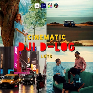 Pacchetto cinematografico DJI D-Log / LUT di gradazione del colore professionale per droni DJI e videocamere Osmo / LUT dall&#39;aspetto cinematografico per riprese aeree e di viaggio