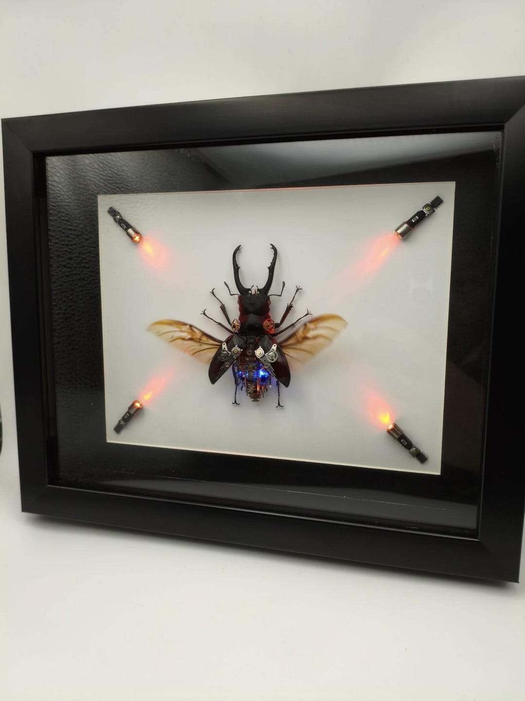 Steampunk Articulated Beetle Display – Mechanical Insect Specimen With ...